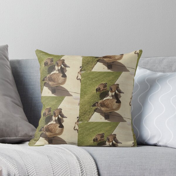 Item preview, Vintage Style Canada Geese Gathering Photography designed and sold by KaleChub.