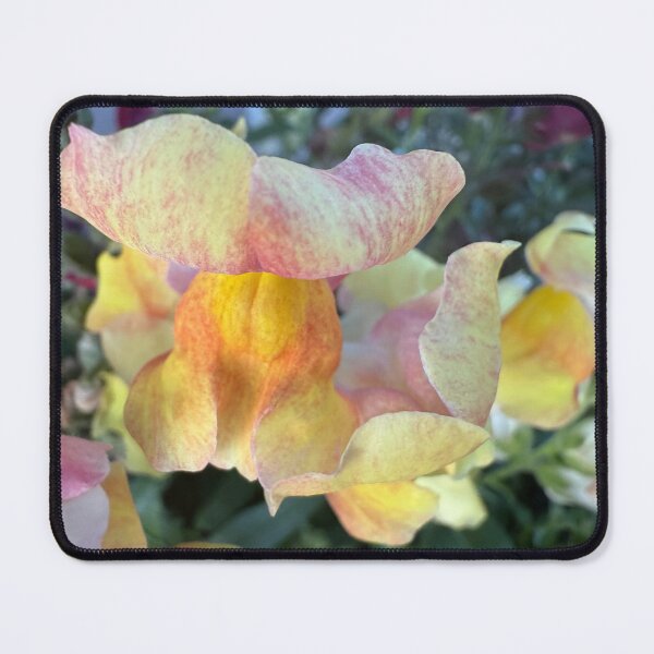 Item preview, Snapdragon Delight by ElitebyElise designed and sold by ElitebyElise.