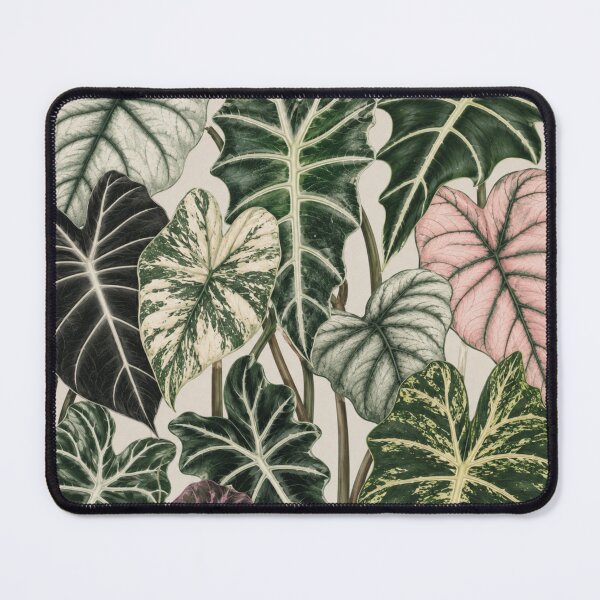 Item preview, Alocasia Leaves Botanical Collage designed and sold by Mikena1996.