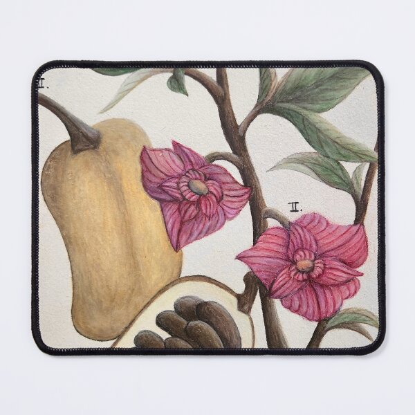 Item preview, Pawpaw Botanical Illustration designed and sold by GeoSplore.