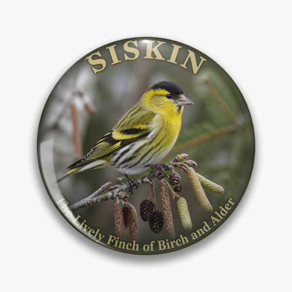 Item preview, SISKIN – The Lively Finch of Birch and Alder designed and sold by The Digital Compass.