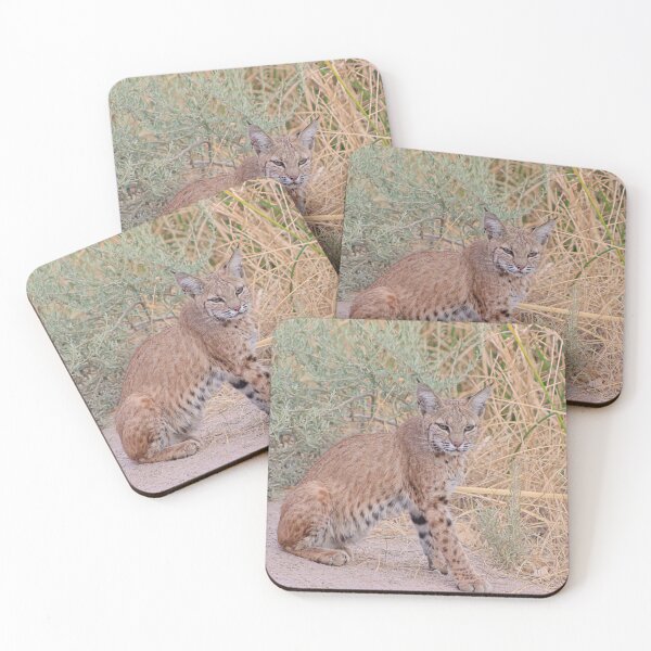 Item preview, Gorgeous Bobcat designed and sold by simonjayphotos.