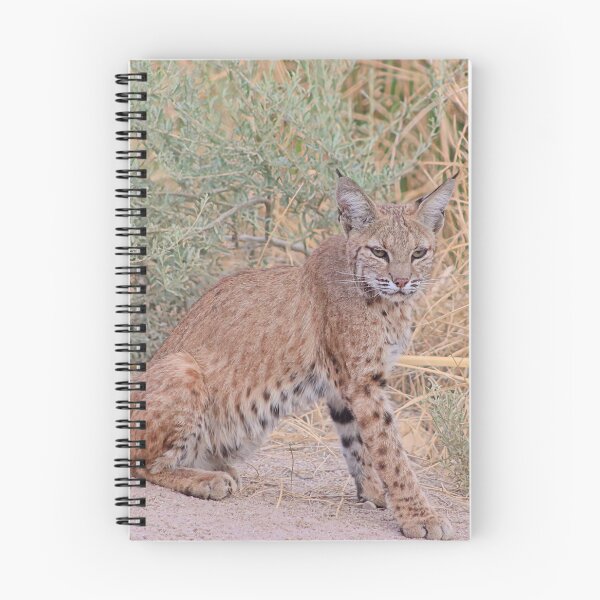 Item preview, Gorgeous Bobcat designed and sold by simonjayphotos.