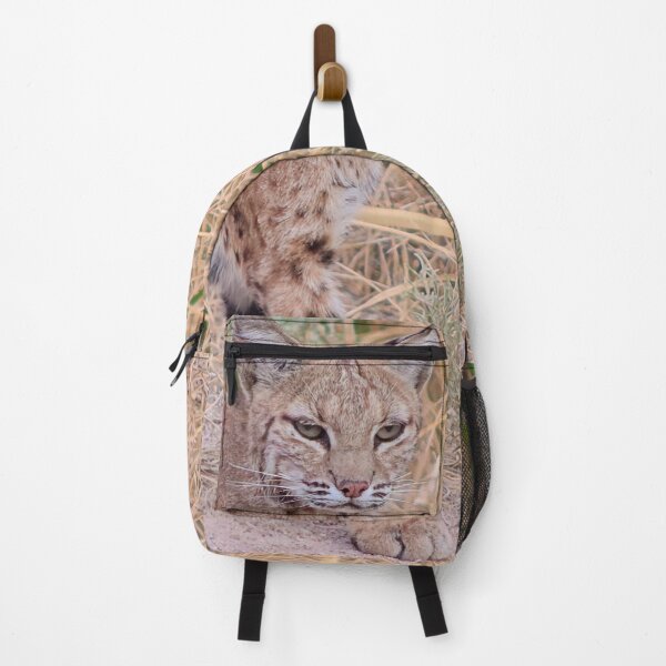Item preview, Gorgeous Bobcat designed and sold by simonjayphotos.