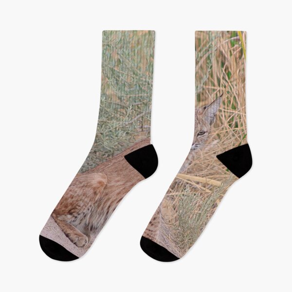 Item preview, Gorgeous Bobcat designed and sold by simonjayphotos.