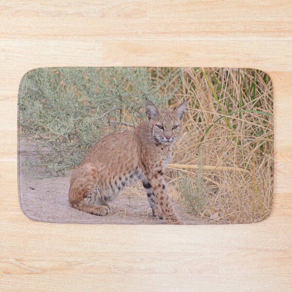 Item preview, Gorgeous Bobcat designed and sold by simonjayphotos.