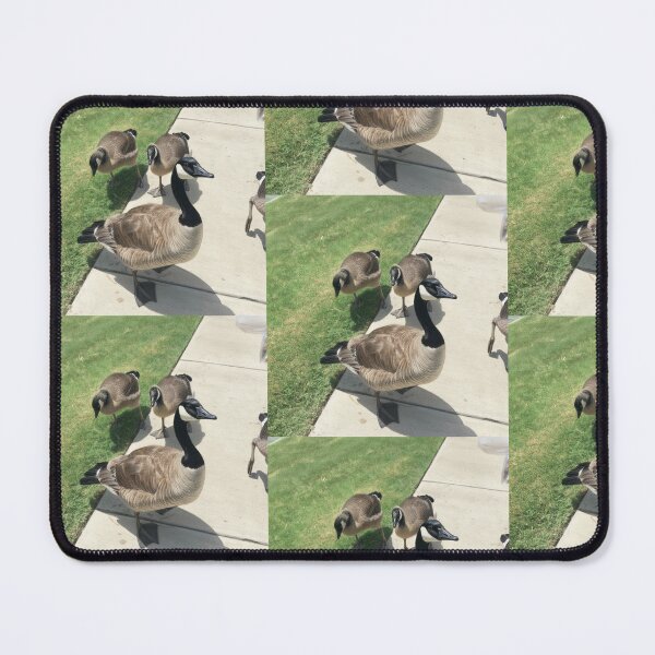 Item preview, Vibrant Canada Geese Gathering on Sidewalk designed and sold by KaleChub.