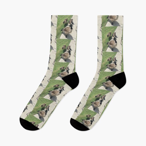Item preview, Vibrant Canada Geese Gathering on Sidewalk designed and sold by KaleChub.