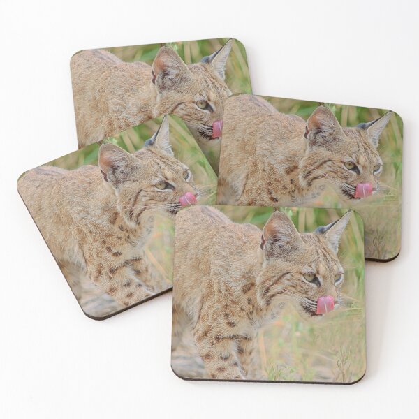Item preview, Bobcat Tongue Out designed and sold by simonjayphotos.