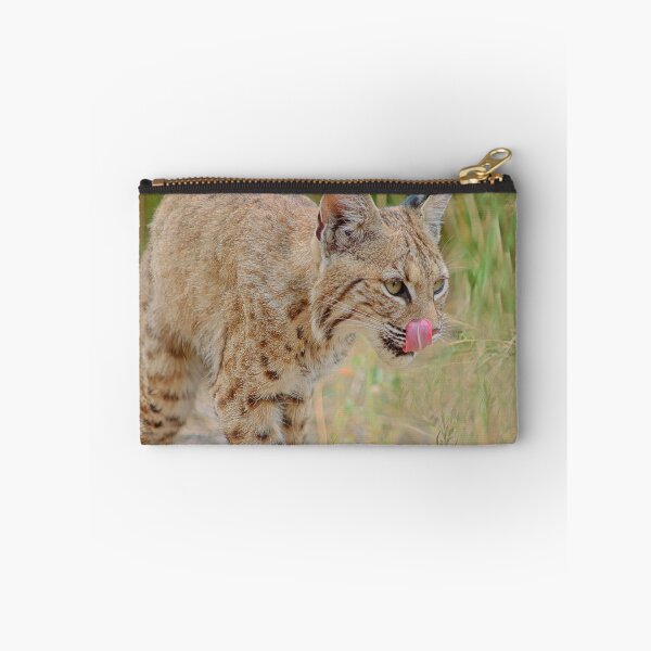 Item preview, Bobcat Tongue Out designed and sold by simonjayphotos.