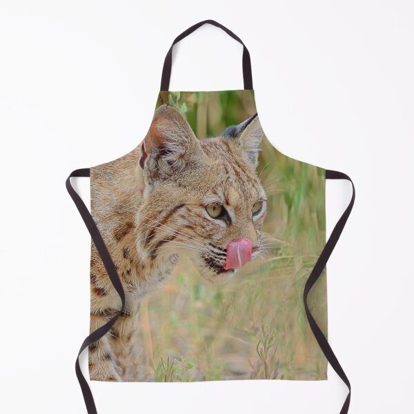 Item preview, Bobcat Tongue Out designed and sold by simonjayphotos.