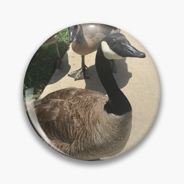 Item preview, Canada Geese Gathering on the Sidewalk designed and sold by KaleChub.