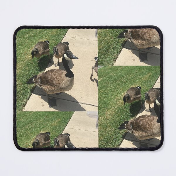Item preview, Canada Geese Gathering on the Sidewalk designed and sold by KaleChub.