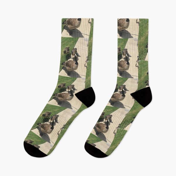 Item preview, Canada Geese Gathering on the Sidewalk designed and sold by KaleChub.