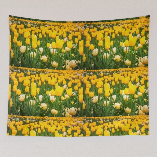 Item preview, Yellow and White Tulips in Canberra in Spring designed and sold by Danielasphotos.