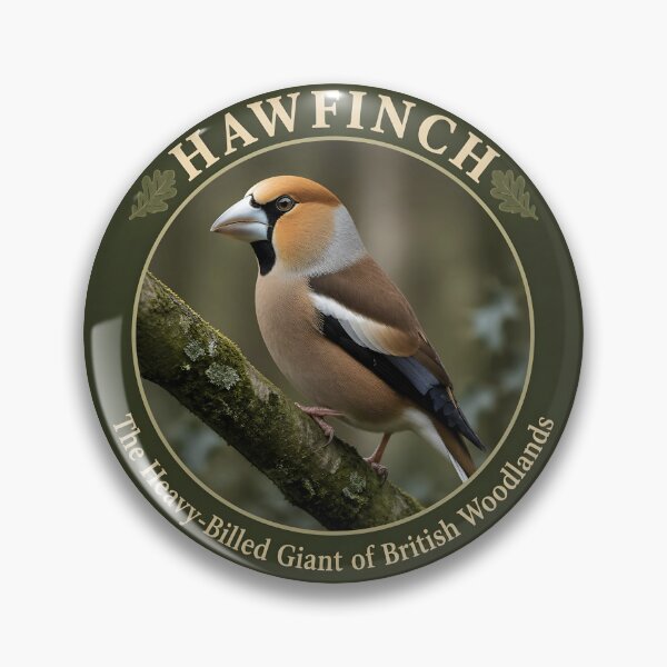 Item preview, HAWFINCH  – The Heavy‑Billed Giant of British Woodlands designed and sold by The Digital Compass.