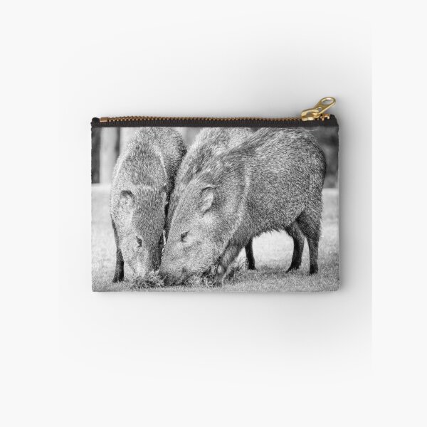 Item preview, Trio of Javelinas Grazing designed and sold by PhotoArt by Joan Carroll.