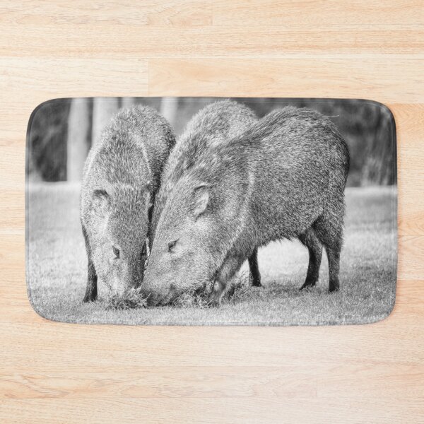 Item preview, Trio of Javelinas Grazing designed and sold by PhotoArt by Joan Carroll.