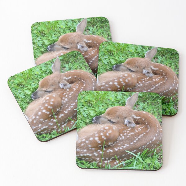 Item preview, Brandnewbie! designed and sold by DeerestPhotos.