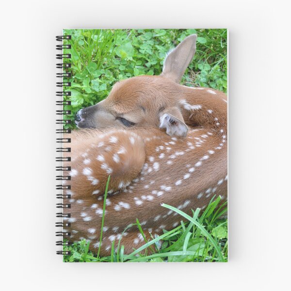 Item preview, Brandnewbie! designed and sold by DeerestPhotos.