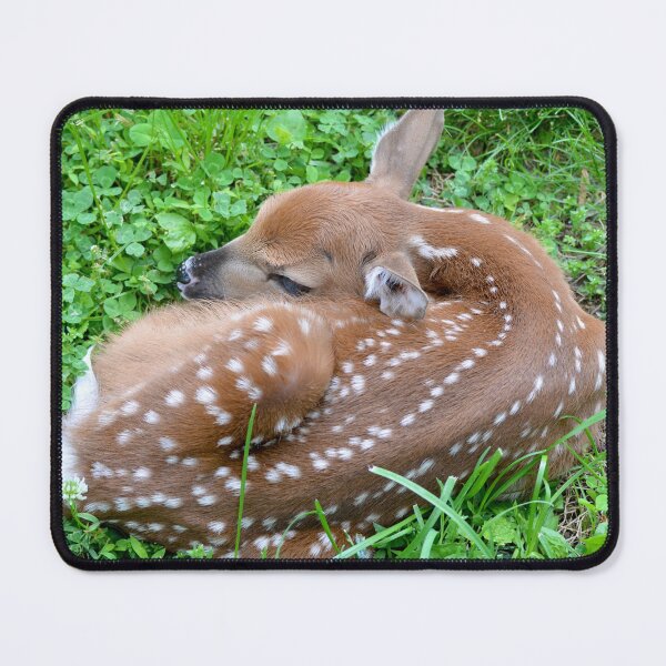 Item preview, Brandnewbie! designed and sold by DeerestPhotos.