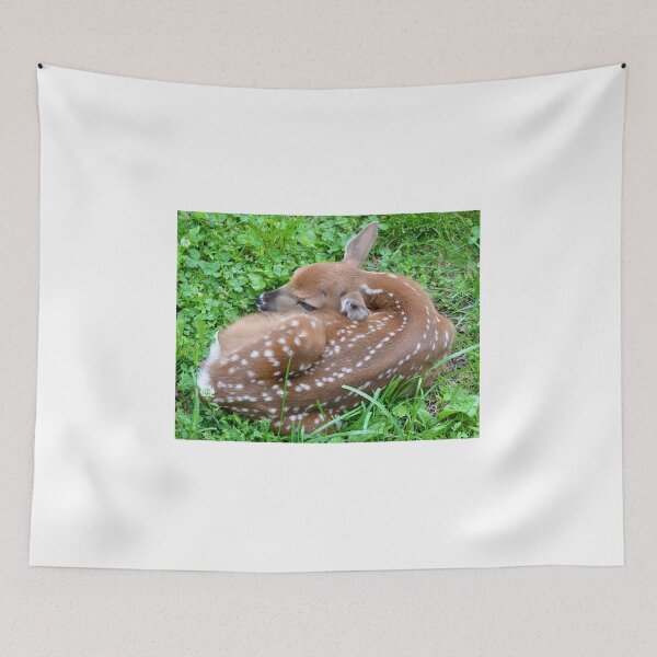 Item preview, Brandnewbie! designed and sold by DeerestPhotos.