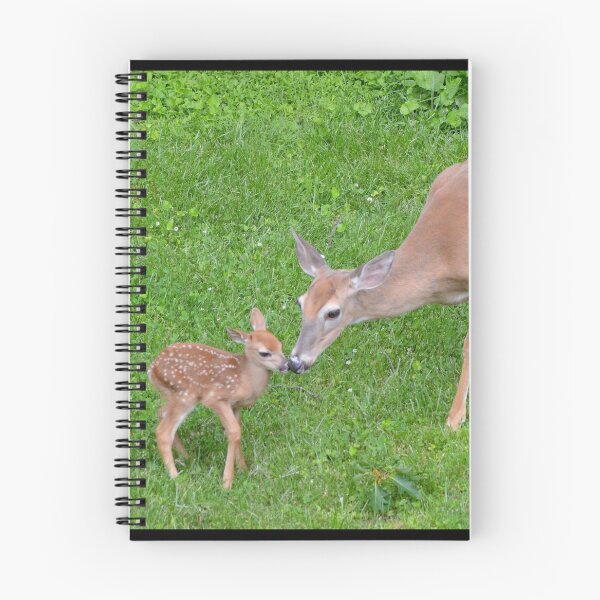 Item preview, Getting to know you designed and sold by DeerestPhotos.