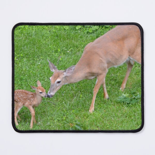Item preview, Getting to know you designed and sold by DeerestPhotos.