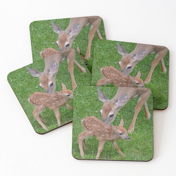 Item preview, Getting to know you 2 designed and sold by DeerestPhotos.