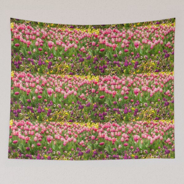 Item preview, Purple and pink tulips in Canberra in Spring designed and sold by Danielasphotos.