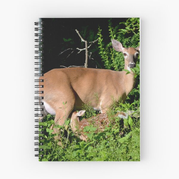 Item preview, Quenched with Love designed and sold by DeerestPhotos.