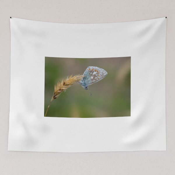 Item preview, Common Blue Butterfly designed and sold by wildlifephoto.