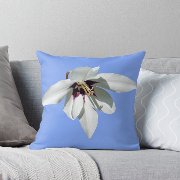 Item preview, The Beautiful Peacock Orchid designed and sold by Frank  Irwin.