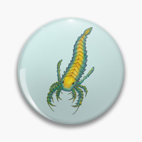 Item preview, Eurypterid Friend: Pentecopterus decorahensis designed and sold by GeoSplore.