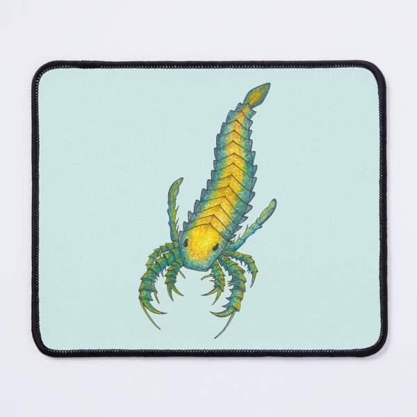 Item preview, Eurypterid Friend: Pentecopterus decorahensis designed and sold by GeoSplore.