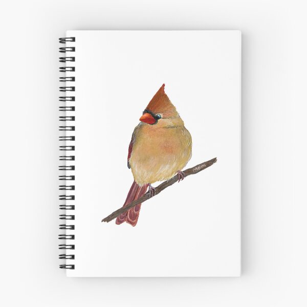 Item preview, Female Cardinal on a Branch designed and sold by M.E.Mackenzie Art.