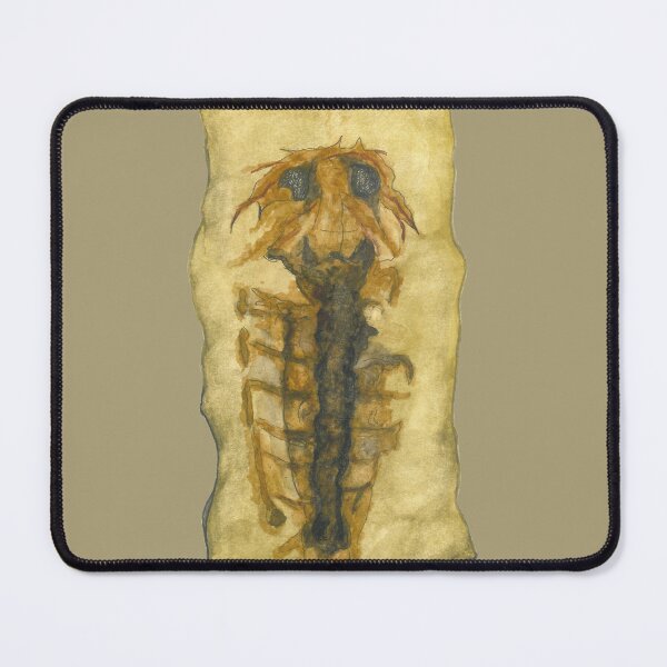 Item preview, Arthropod: Winneshiekia youngae designed and sold by GeoSplore.
