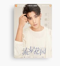 Lienzo metálico METEOR GARDEN 2018