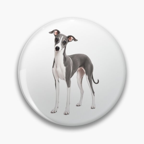Item preview, Italian Greyhound dog designed and sold by BackgroundND.