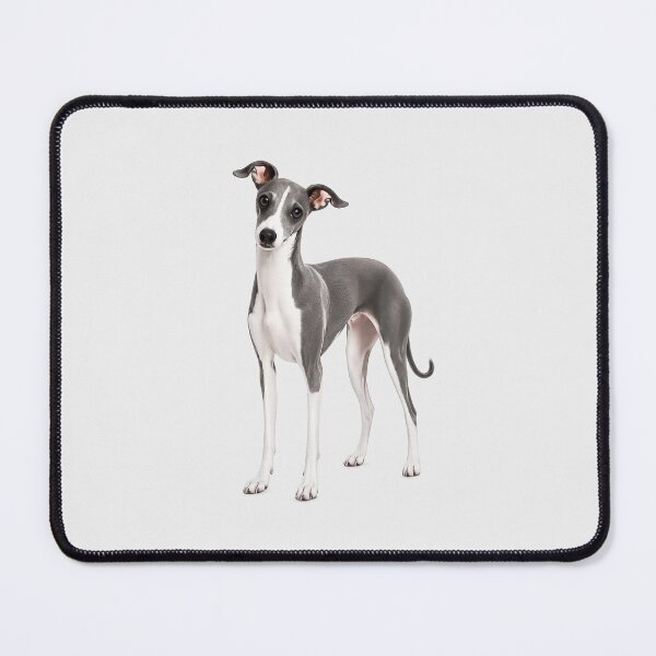 Item preview, Italian Greyhound dog designed and sold by BackgroundND.