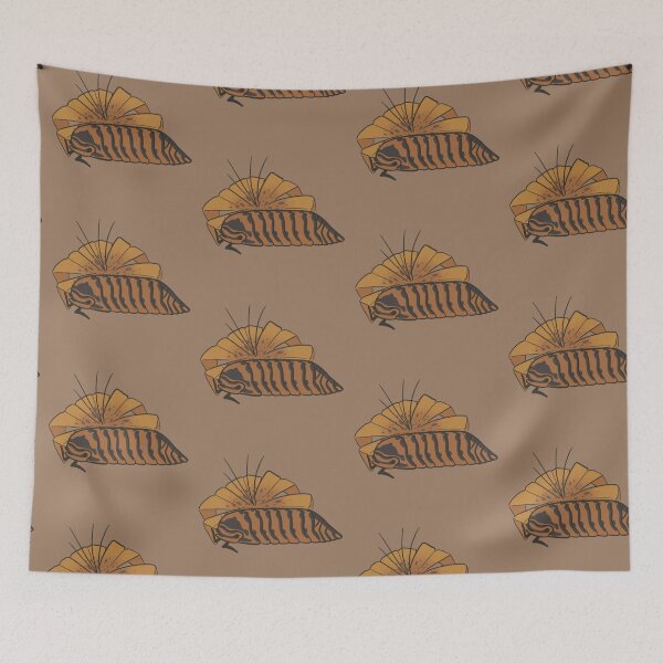 Item preview, Isopod - Armadillidae sp. Singapore Tiger designed and sold by Risky Beetle.