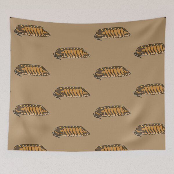 Item preview, Isopod - Armadillidae sp. Cave Tiger designed and sold by Risky Beetle.