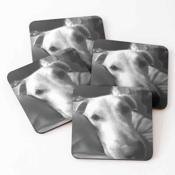 Item preview, Puppy Eyes designed and sold by Curious Echo Photography.