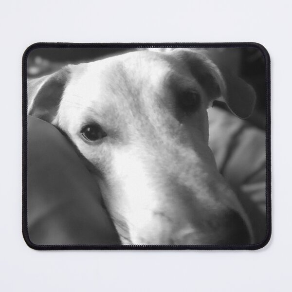 Item preview, Puppy Eyes designed and sold by Curious Echo Photography.