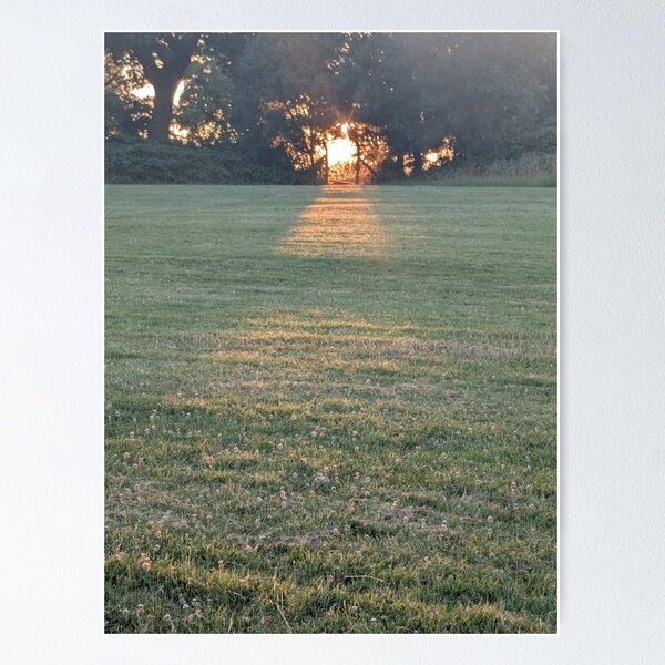 Item preview, Follow the golden light designed and sold by LifeLookingCloser.