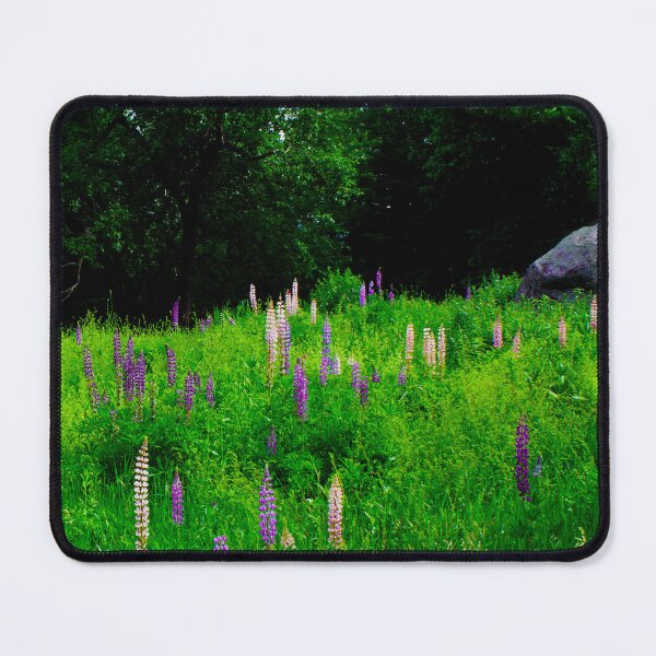 Item preview, Glacial Boulder in a Lupine Field designed and sold by Wayne King.
