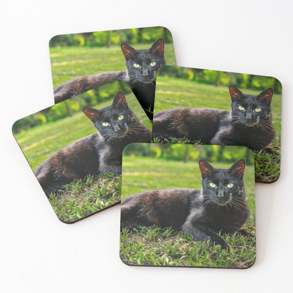 Item preview, Black Cat Green Eyes designed and sold by Rabee Khalil Photography.