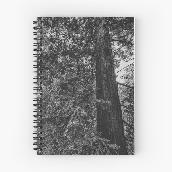 Item preview, Redwood designed and sold by Douglas E. Welch Design and Photography.