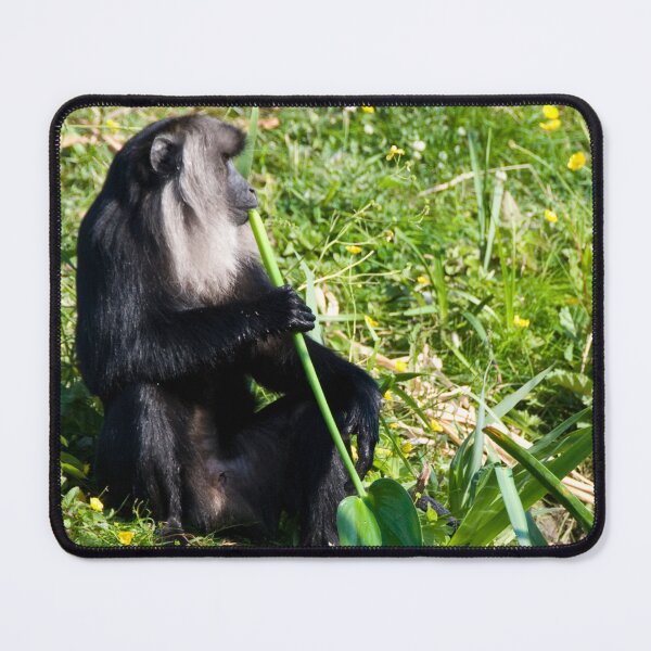 Item preview, Thoughtful Monkey designed and sold by CCWorkfloor.