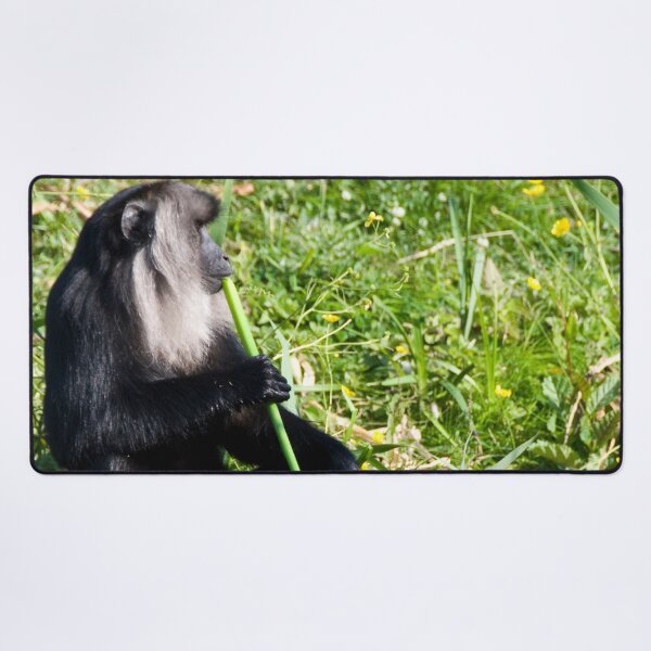 Item preview, Thoughtful Monkey designed and sold by CCWorkfloor.
